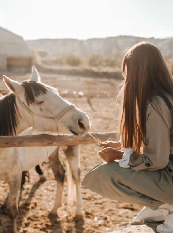 Cappadocian Horses