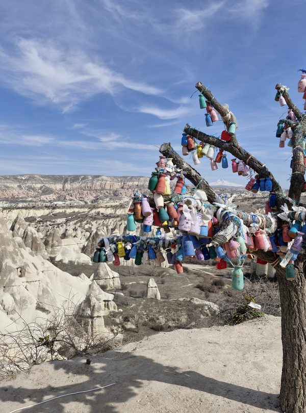 Love Valley - Wish Tree